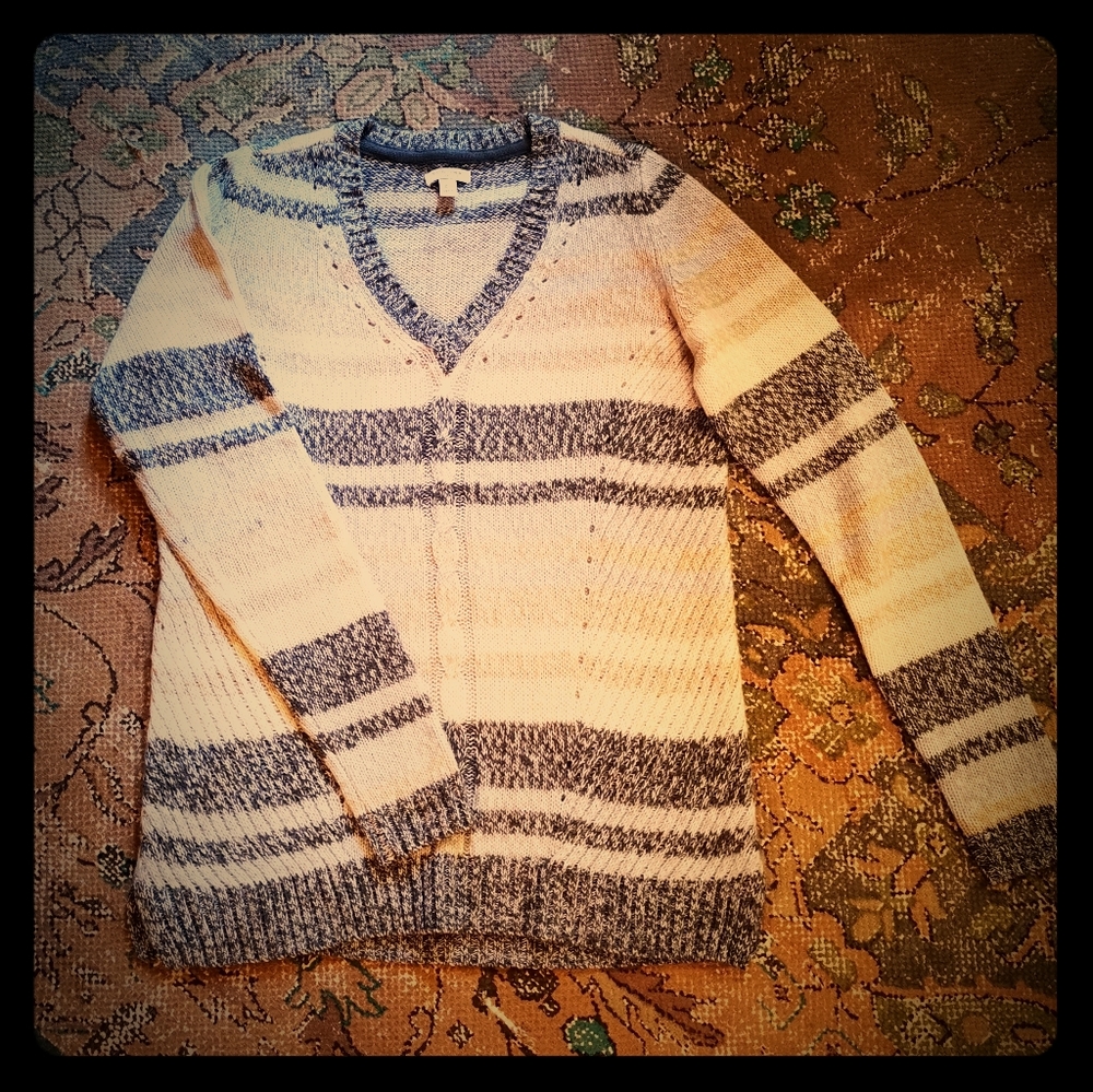 Sonoma Striped V-neck Sweater!